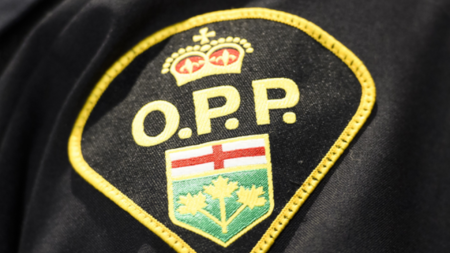 Pellet gun: Two people shot in Perth, Ont., 33-year-old man facing charges