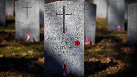 Remembrance Day in Toronto 2024: ceremonies and what's closed?