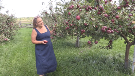 Simcoe County cideries welcome $6 million in provincial funding for growth and tourism