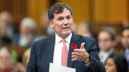 Sparks fly over MP pensions at hearings about election bill