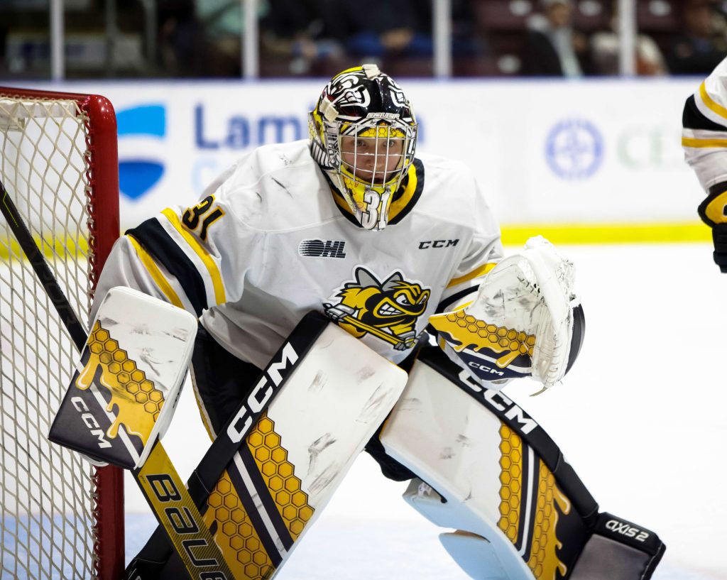 Sting suffer 5-2 road loss to Owen Sound