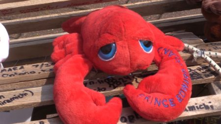 Sudbury news: Internet sensation 'Lucky the Lobster' stops on Manitoulin Island, visits Sudbury and now heads to Thunder Bay