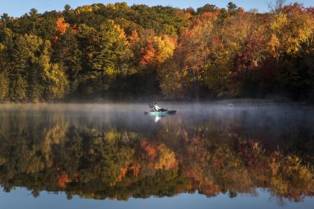 Sunny, warm weather leads to duller fall colours in Ontario