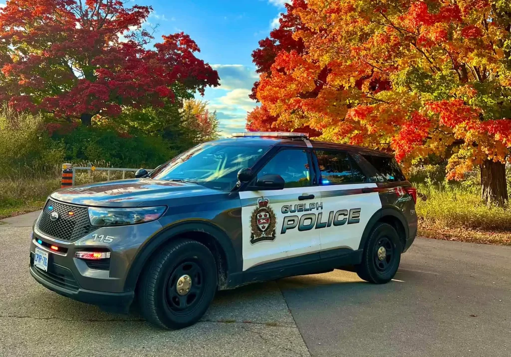 police guelph ontario LCBO thefts arrests