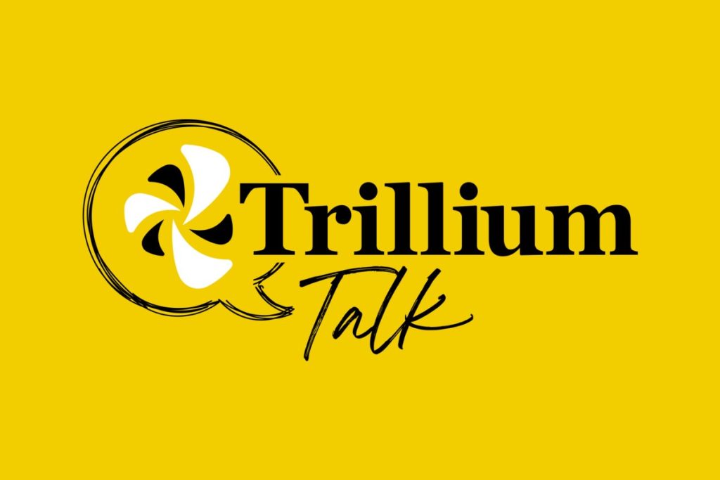 TRILLIUM TALK: Death to bike lanes, long live highway tunnel