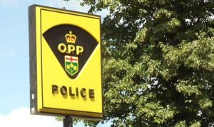 Leamington Duo Charged After Vehicle Hits House Leamington Duo Charged After Vehicle Hits House