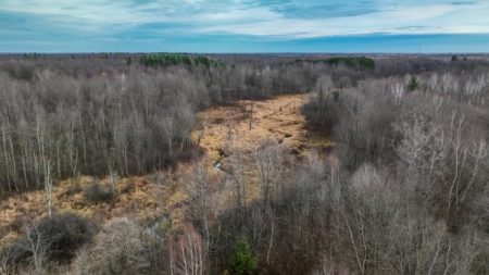 Wetland protections are shifting, especially in Ottawa