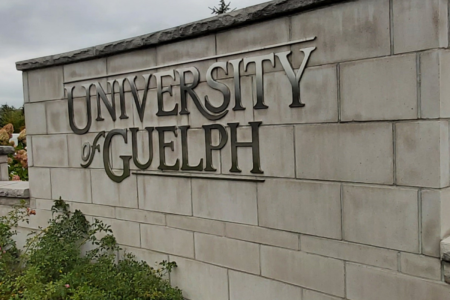 With strike looming, U of G faculty reaches tentative agreement