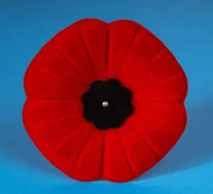 dreamstime m 163348924 770x470 1 e1731186449107