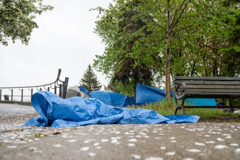 Blue tents and tarps are seen on grass and pavement, covered in white flower petals.