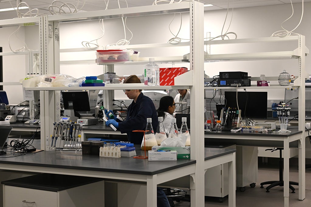 a lab inside IA