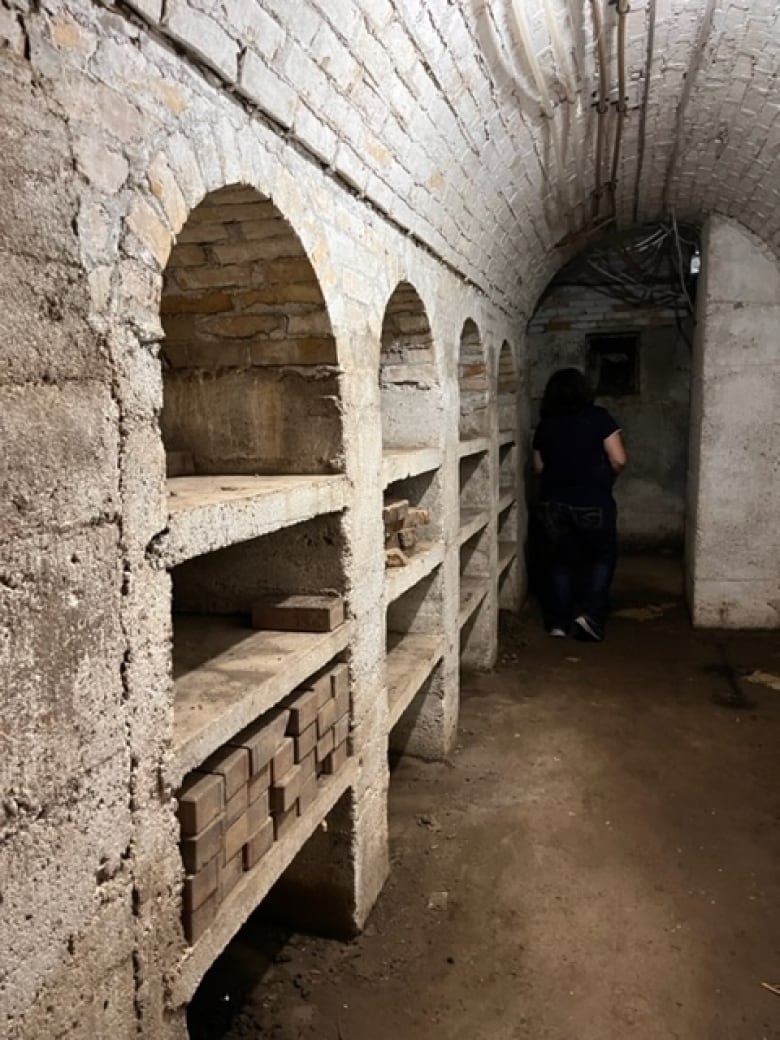 Inside 255 Delacourt's cellar.