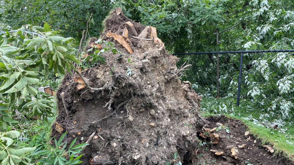 possible ayr tornado damage 1 7004648 1723920806898