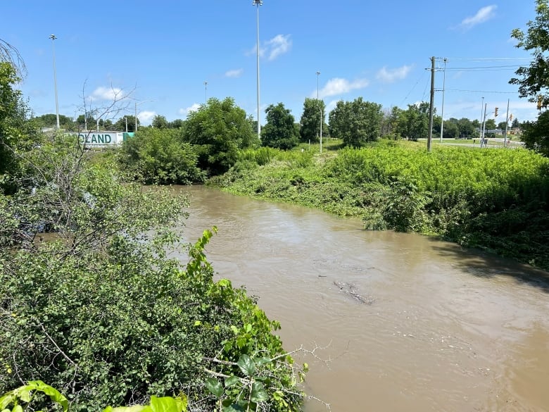 High water in a river.