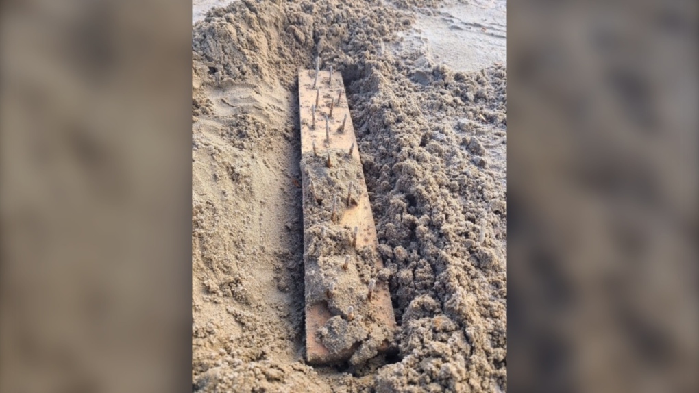 Nails in wooden board injure younger lady in Port Elgin, household needs solutions Nails in wood board injure young girl in Port Elgin, family wants answers