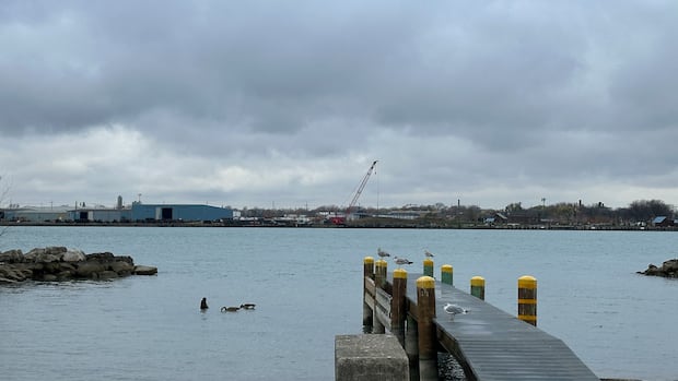 Premier desires Windsor to get a border patrol helicopter. So does metropolis's mayor 2 1734163388 543 default