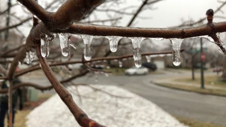 Freezing rain warning in effect