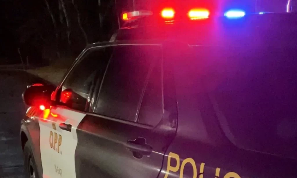 Five face drugs, weapons charges following Renfrew traffic stop