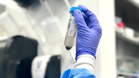 Guelph wastewater testing will continue for COVID-19 and more by university researchers