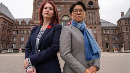 Intimate partner violence study cut short as Ontario eyes early election