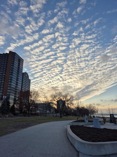 Photo Of The Day - Sunday December 29th, 2024 | windsoriteDOTca News