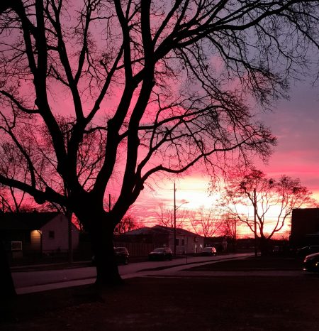 Photo Of The Day - Sunday December 8th, 2024 | windsoriteDOTca News