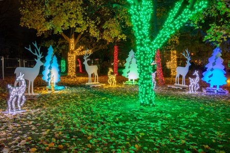 WEATHER: Wednesday December 11th, 2024 | windsoriteDOTca News