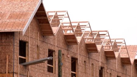 Windsor facing housing criticism | CTV News