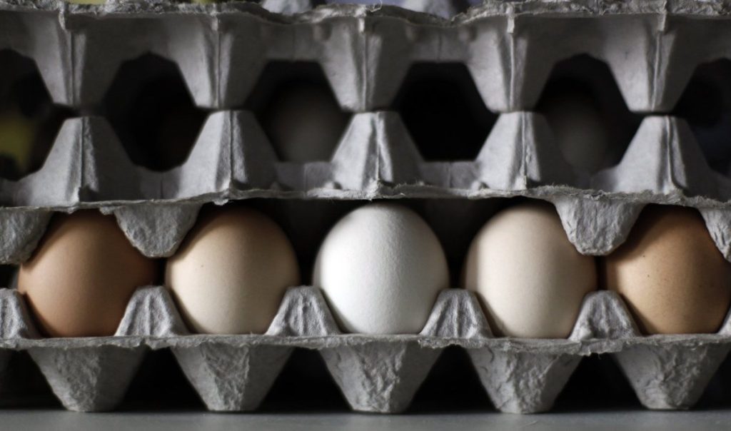 Eggs in B.C., Ont., Man., recalled over salmonella concerns