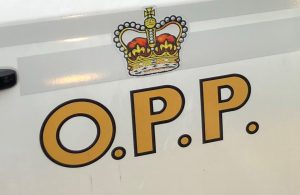 Barrie Man Faces Assault Charge After Festival Incident Barrie Man Faces Assault Charge After Festival Incident