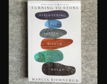 On The Bookshelf: Between a rock and a smart place