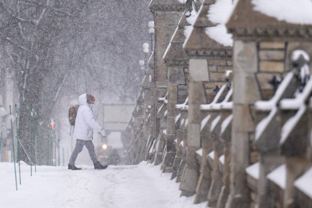 Components of Ontario anticipated to see as much as 40 cm of snow, Atmosphere Canada warns Parts of Ontario expected to see up to 40 cm of snow, Environment Canada warns