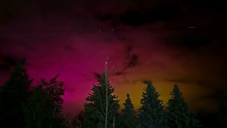 Photo Of The Day - Friday January 3rd, 2025 | windsoriteDOTca News