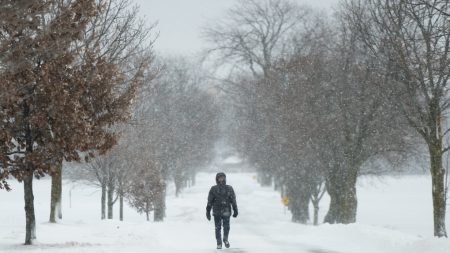 Snow squall warnings in effect for parts of southern Ontario