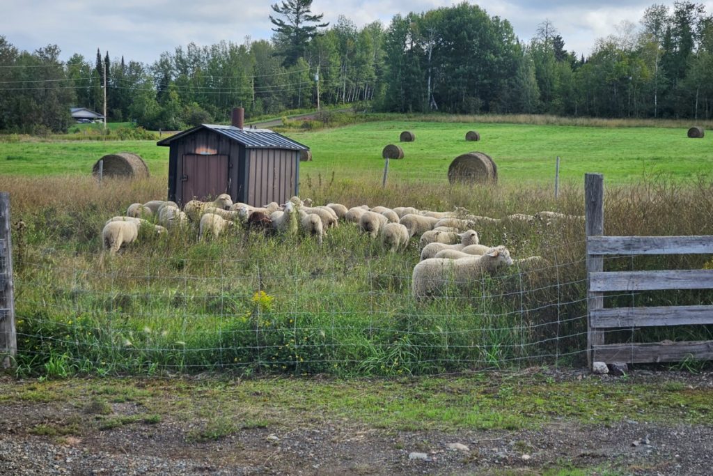 Mental health program for farmers extended