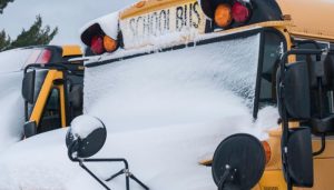 Winter Storm Closes Many Places on January 15