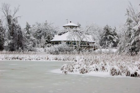 Kingston slams ‘forced’ merger of Ontario’s conservation authorities