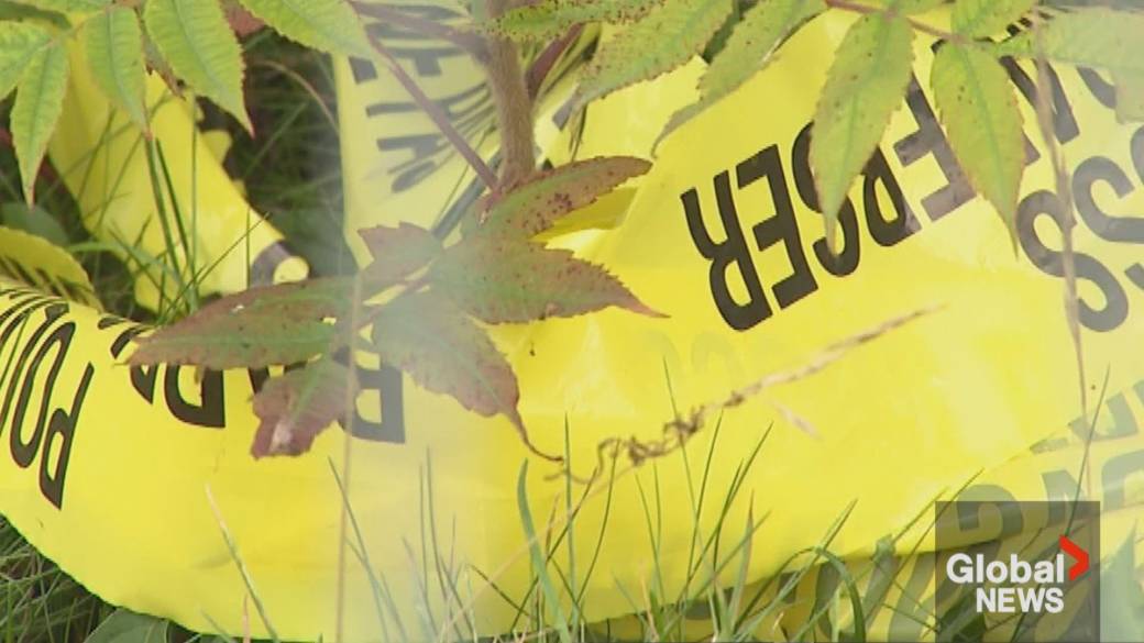 Click to play video: '2 men who were killed and dismembered knew attacker: Barrie police'