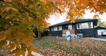 Ontario city to fine homeowners who block public paths with loose leaves