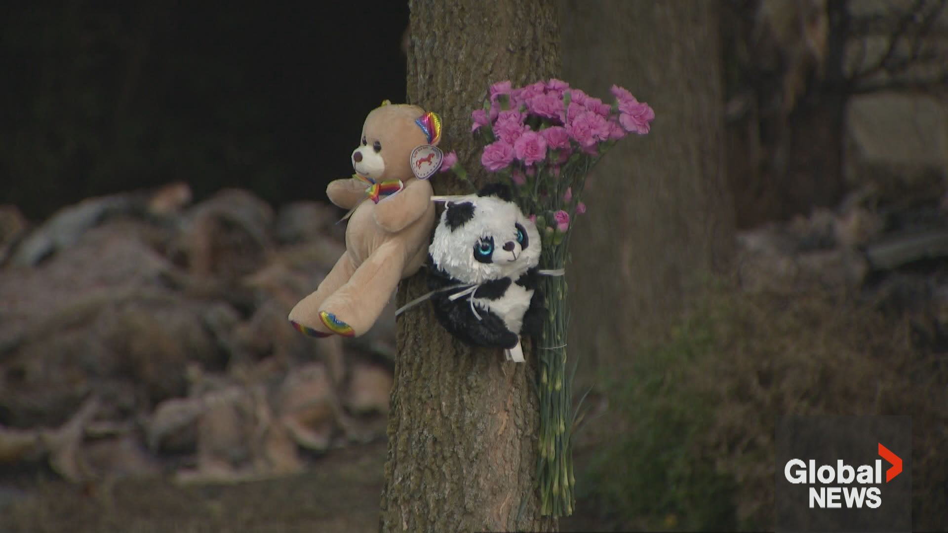 Click to play video: '‘Unnerving:’ Richmond Hill community fearful as 2nd person dies after arson attack'