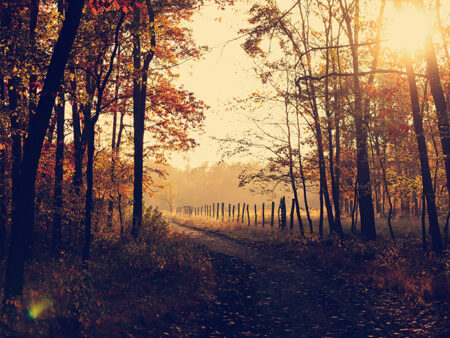 Remembering Billy Cole and Gilles Blais