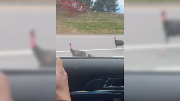 1767854723 189 default