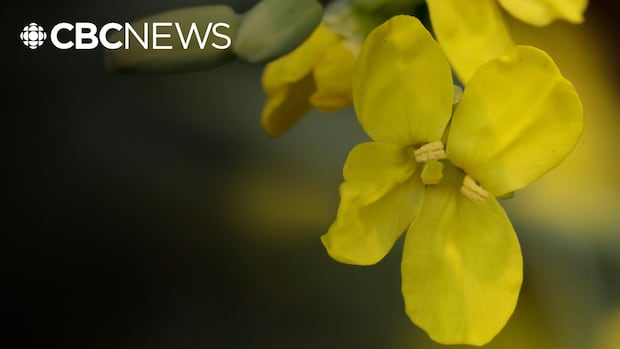 1768600808 285 default