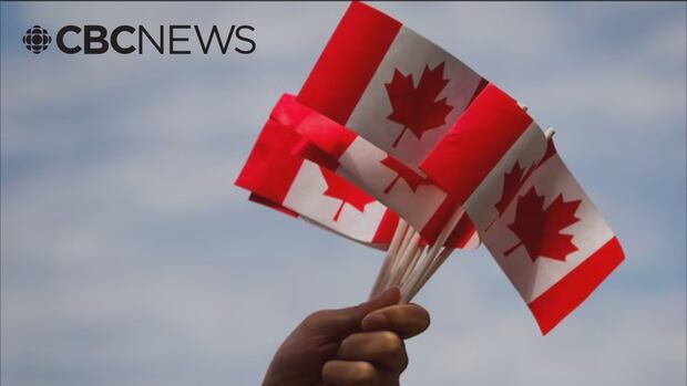 1769239554 30 default