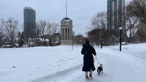 1769369114 182 default