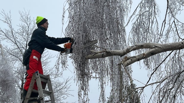 1769586717 438 default