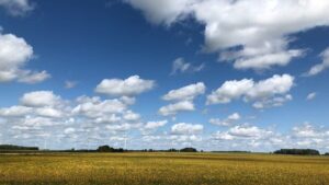 2 MPPs have proposed an Ontario foodbelt. Could it help tariff-proof the ag sector?