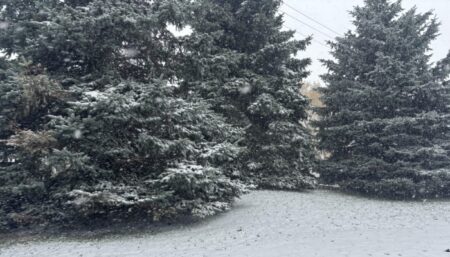 Chilly Weather and Snow Expected in Hamilton and Niagara