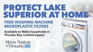 Free Filters for Metis Families in Thunder Bay