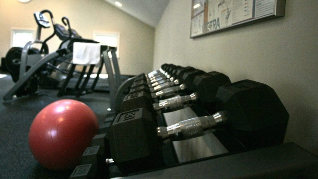 Vehicle Theft Linked to Guelph Gym Incident